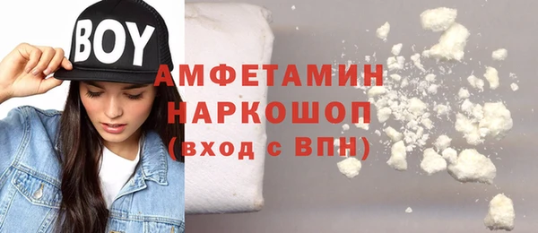 индика Алексин
