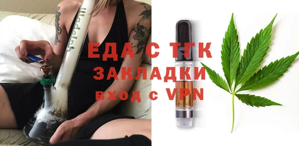 индика Алексин