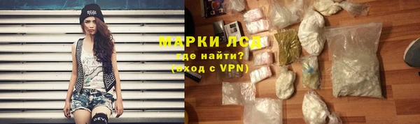 индика Алексин