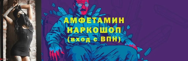 индика Алексин