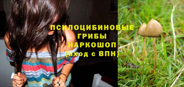 индика Алексин