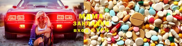 индика Алексин