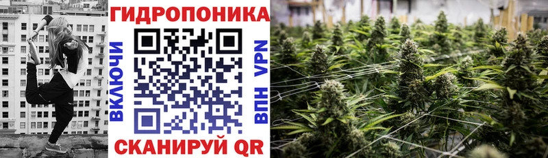Конопля Amnesia Опочка